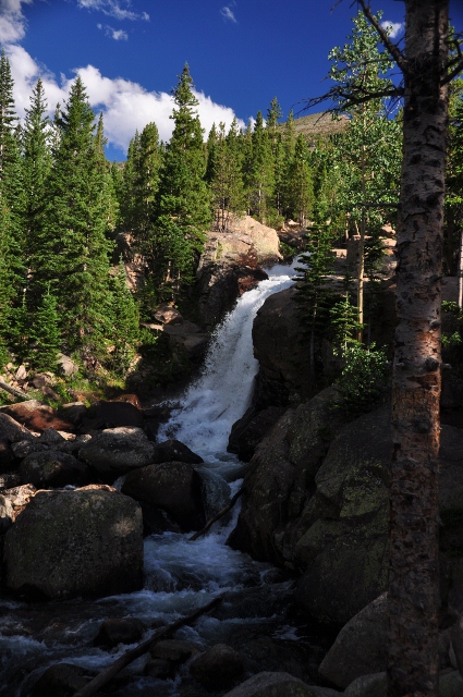 Alberta Falls Trail